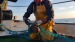 Pesca turismo en Menorca con pescador artesanal trabajando la red