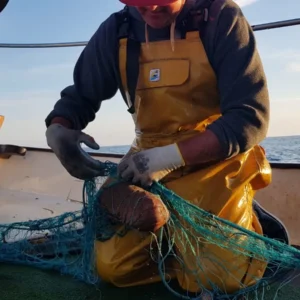 Pesca turismo en Menorca con pescador artesanal trabajando la red