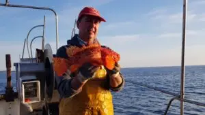 Pescador profesional mostrando un caproig fresco recién capturado en el mar Mediterráneo.